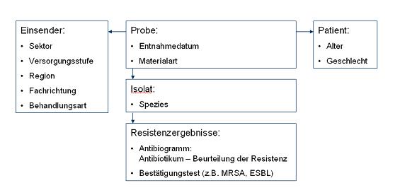 Schematischer Überblick über die Datenstruktur